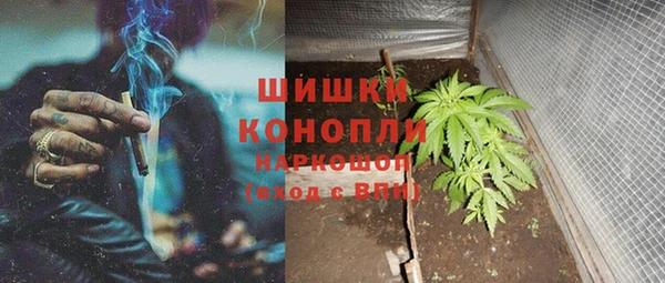 МДПВ Алзамай