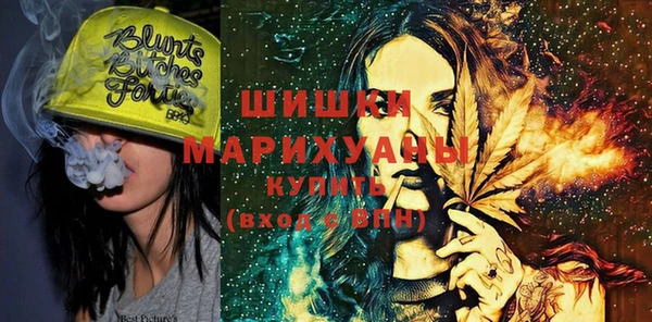 гидра Яровое