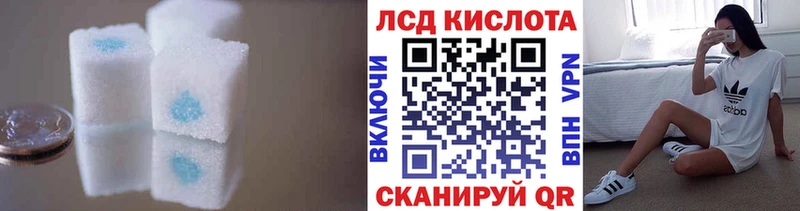 дарнет шоп  Апатиты  гидра зеркало  это клад  ЛСД экстази ecstasy 
